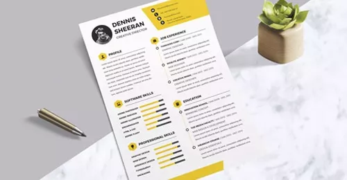 CV : 5 compétences exprimées autrement CV : 5 compétences exprimées autrement