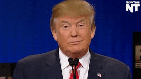Trump fait la joie de Twitter et des médias