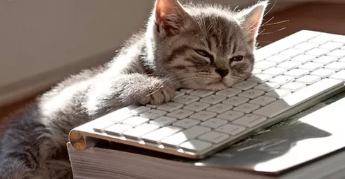 6 avantages secrets du télétravail