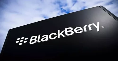 blackberry