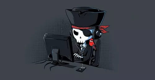 De jeunes Québécois font la vie dure aux cyberpirates