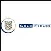 Gold Fields