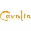 Cavalia  Inc